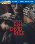 Evil Dead Rise (Blu-ray/DVD)