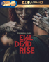 Evil Dead Rise (4K Ultra HD/Blu-ray)