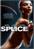 Splice