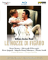 Mozart: Le Nozze Di Figaro: Pietro Spagnoli / Marcella Orsatti Talamanca / Diana Damrau (Blu-ray)