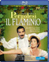 Pergolesi: Il Flaminio: Juan Francisco Gatell / Laura Polverelli / Marina de Liso (Blu-ray)