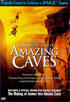 Journey Into Amazing Caves: IMAX (DTS)