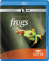 Nature: Fabulous Frogs (Blu-ray)