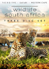 Wildlife South Africa: The Big Five / Kings Of The Savannah / Western Cape