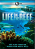 Life On The Reef