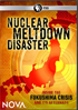 Nova: Nuclear Meltdown Disaster