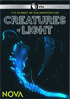 Nova: Creatures Of Light