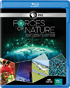 Forces Of Nature (2016)(Blu-ray)