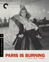 Paris Is Burning: Criterion Collection (Blu-ray)