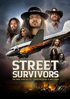 Street Survivors: The True Story Of The Lynyrd Skynyrd Plane Crash (DVD/CD)