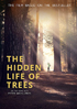 Hidden Life Of Trees