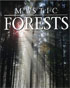 Mystic Forest (HD DVD)