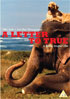 Letter To True (PAL-UK)