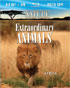 Nature: Extraordinary Animals: Africa (Blu-ray/DVD)