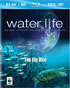 Water Life: The Big Blue (Blu-ray/DVD)