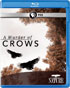 Nature: A Murder Of Crows (Blu-ray)