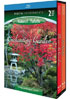 Living Landscapes: Enchanting Garden (Blu-ray): Flowers And Gardens / Zen Garden