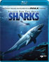 IMAX: Search For The Great Sharks (Blu-ray)