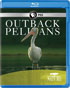 Nature: Outback Pelicans (Blu-ray)