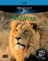 IMAX: Wild Africa: East African Odyssey (Blu-ray)