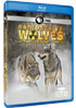 Nature: Radioactive Wolves: Chernobyl's Nuclear Wilderness (Blu-ray)