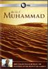 Life Of Muhammad