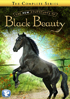 New Adventures Of Black Beauty: The Complete Series