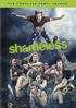 Shameless (2011): The Complete Tenth Season