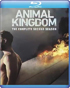 Animal Kingdom (2016): The Complete Second Season: Warner Archive Collection (Blu-ray)