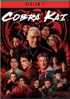 Cobra Kai: Seasons 5