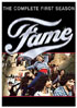 Fame: The Complete First Season